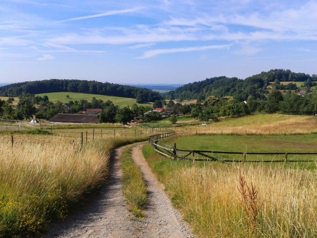 Fewo Darsberg Neckarsteinach Exterior photo