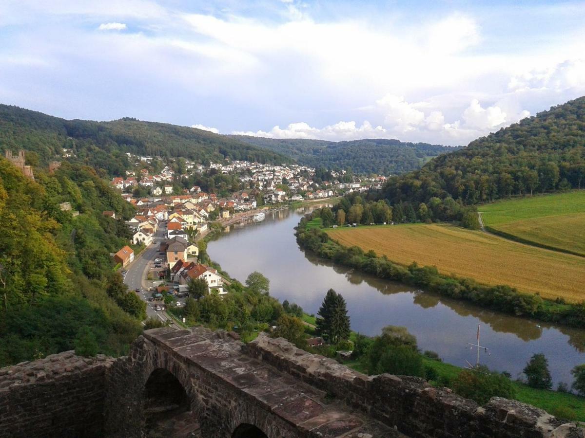 Fewo Darsberg Neckarsteinach Exterior photo
